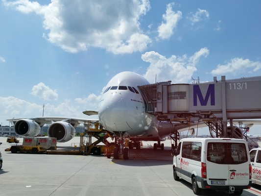 Shenzhen Freight Forwarder International Cargo Services / UPS FEDEX Air Fast Cargo Services (Flugschnellfrachtdienste)