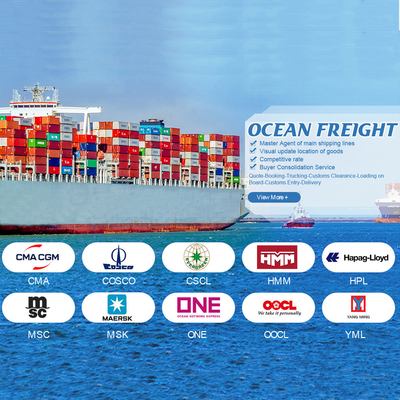 OOG BBK 40ft Container Internationale Seefahrt China nach Jordanien für allgemeine Fracht