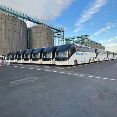Container RORO Global Shipping Services von der Shenzhen Logistics Company